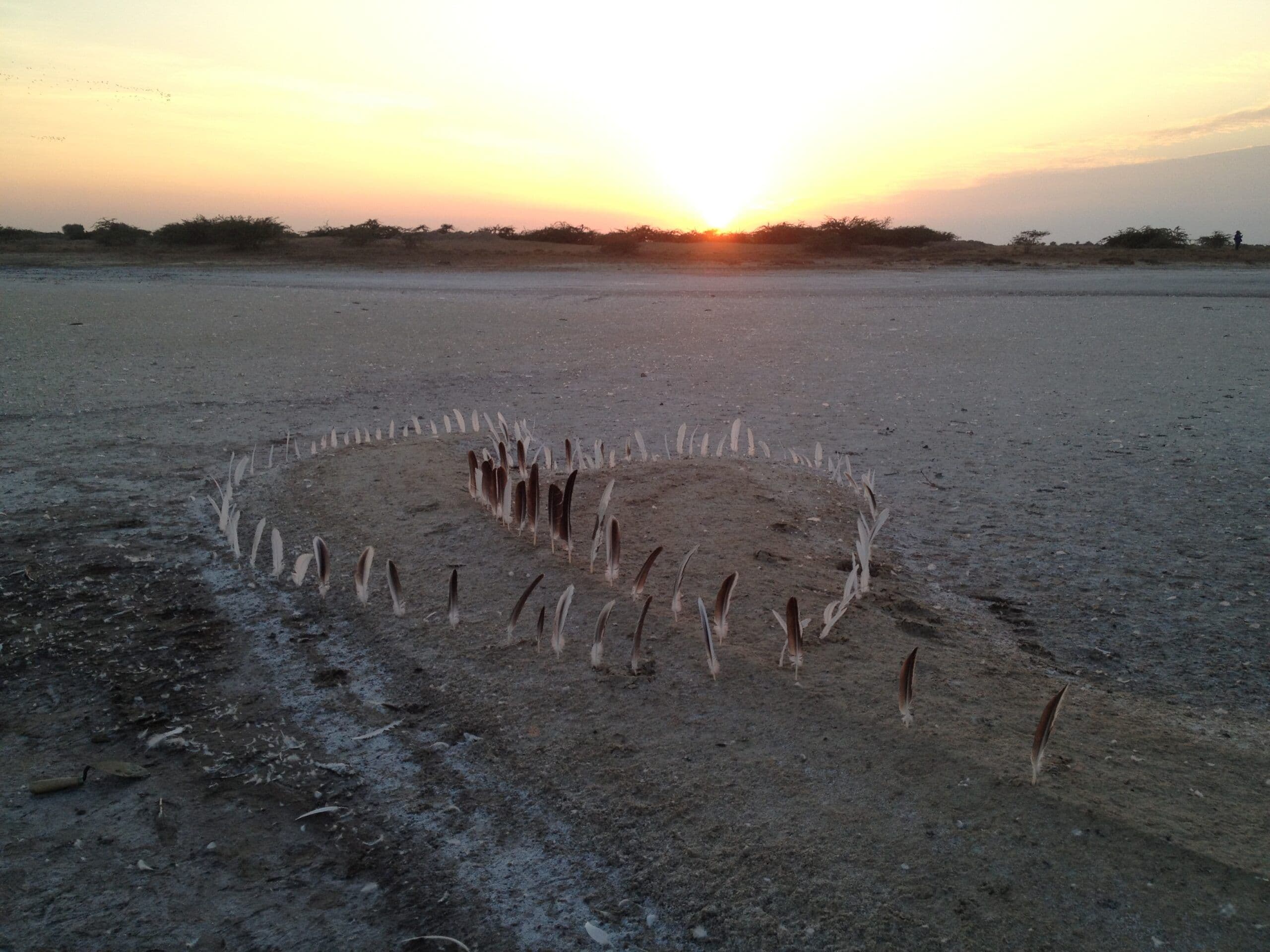 Formation of Form by Gunjan Tyagi, Site-Specific Installation, 2016