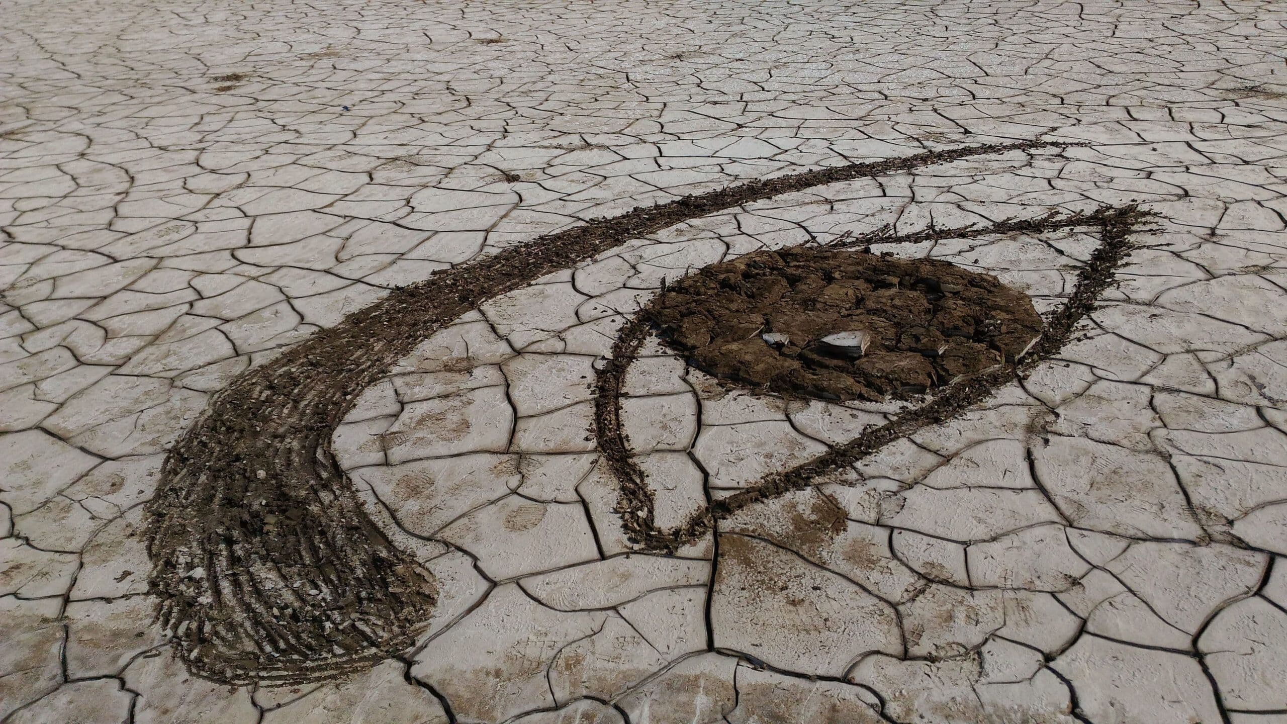 Third Eye of Earth II by Gunjan Tyagi, Nature Art Installation, 2016