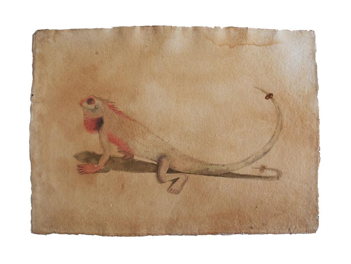 A Game of Chameleon by Gunjan Tyagi, Mixed Media, 2016