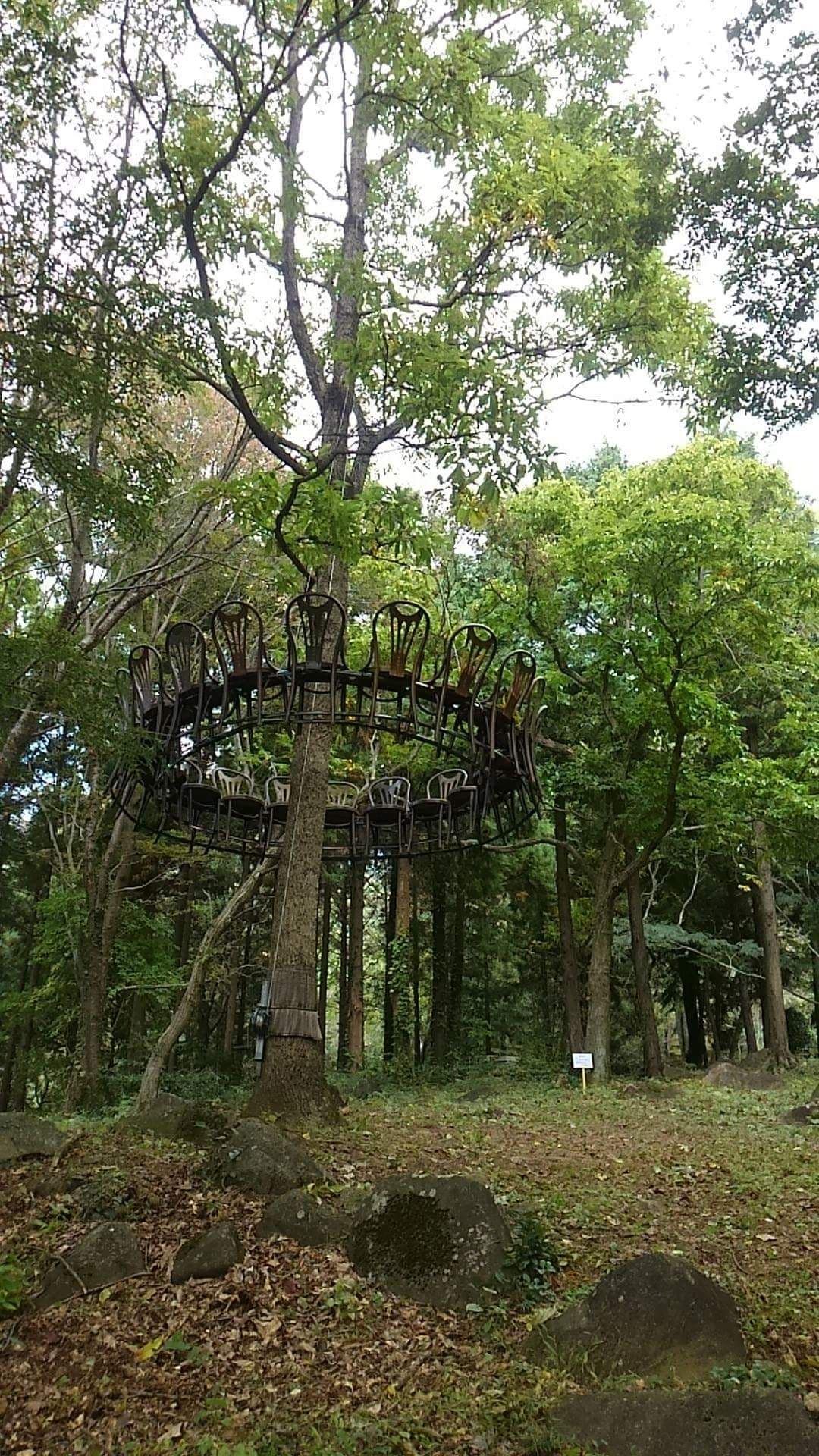 Fancy Meeting by Gunjan Tyagi, Mixed Media Installation, 2013